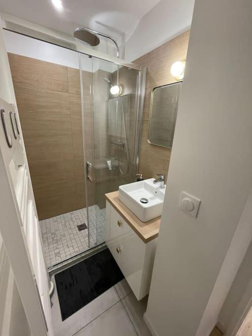 Blue Iro, Lumineux, 4 Chambres, Balcon, 105M2 圣艾蒂安 外观 照片